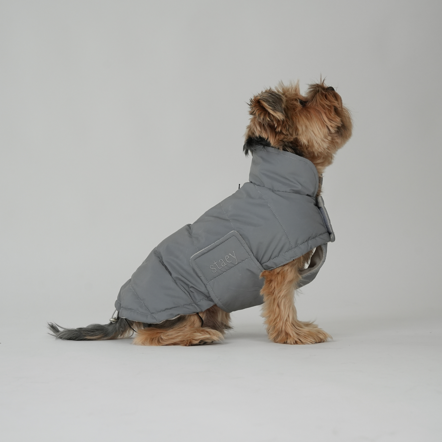 Dog Coat Nora | Reflective