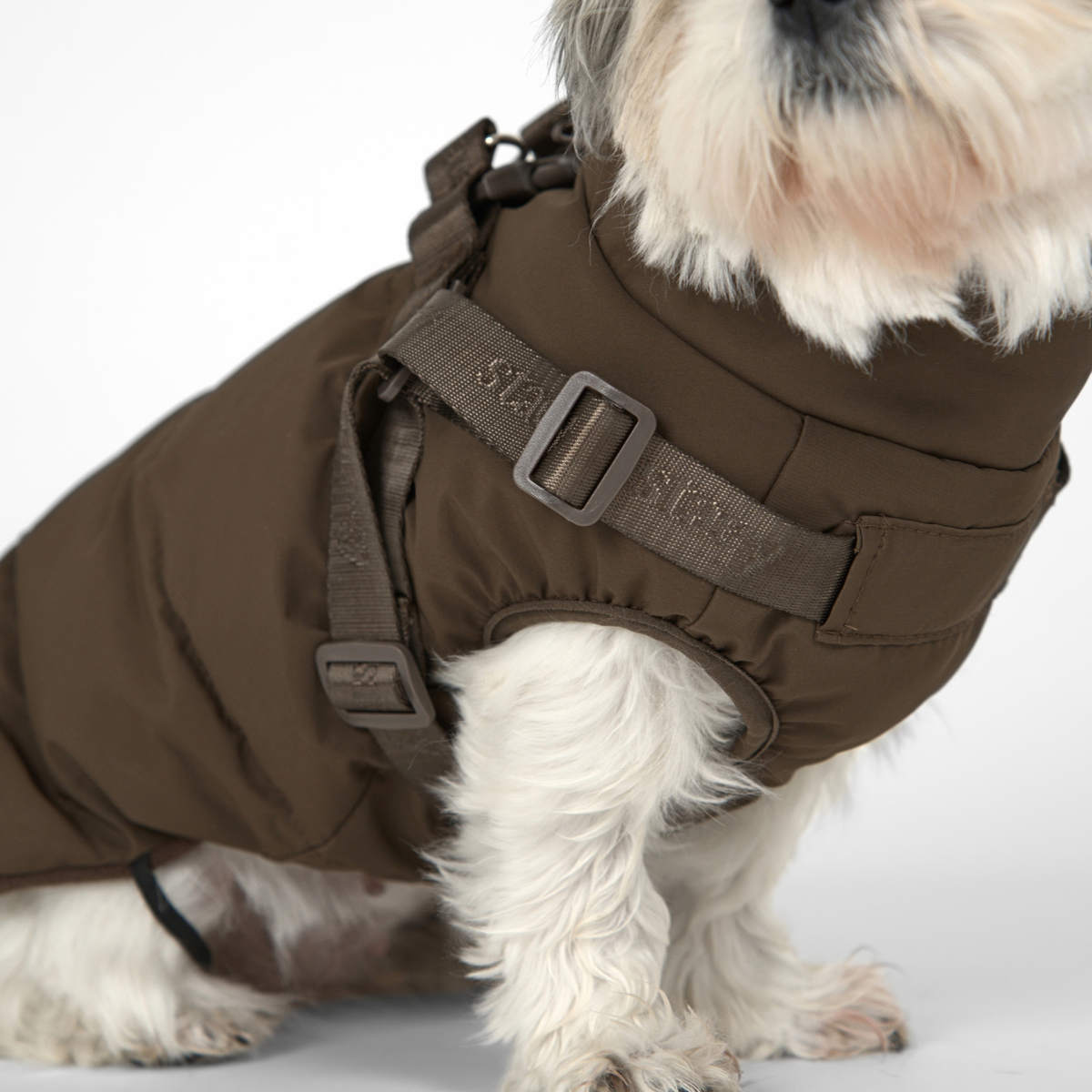 Vera Hundemantel mit integriertem Geschirr | Chestnut