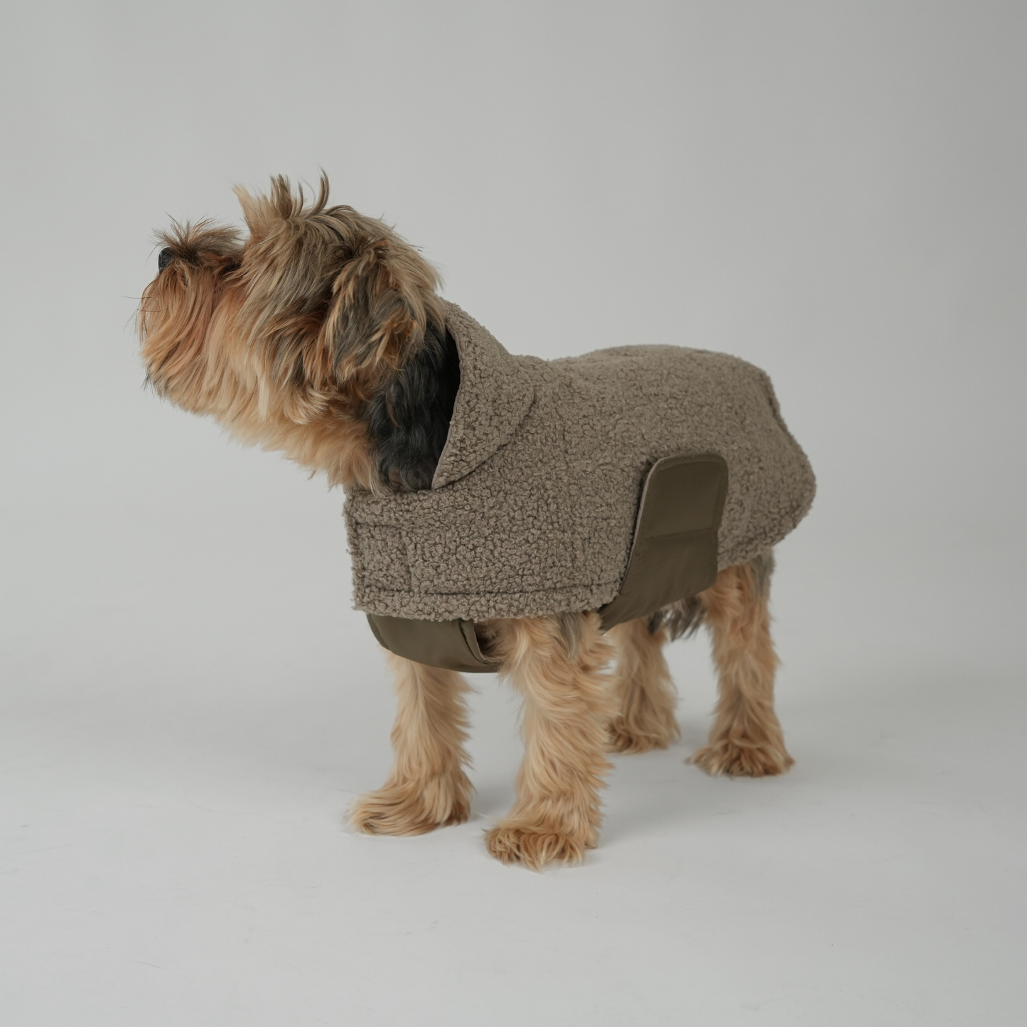 Dog Coat Teddy | Taupe