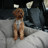 Lara Autositz | Taupe 2.0