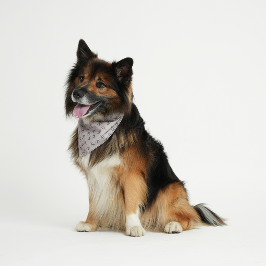 ST Bandana