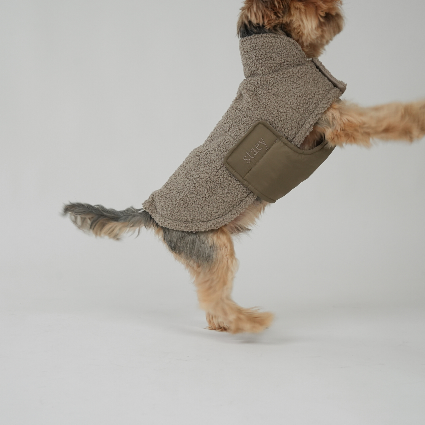 Dog Coat Teddy | Taupe