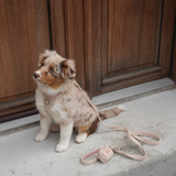 Elma Poop Bag Holder | Light Rose