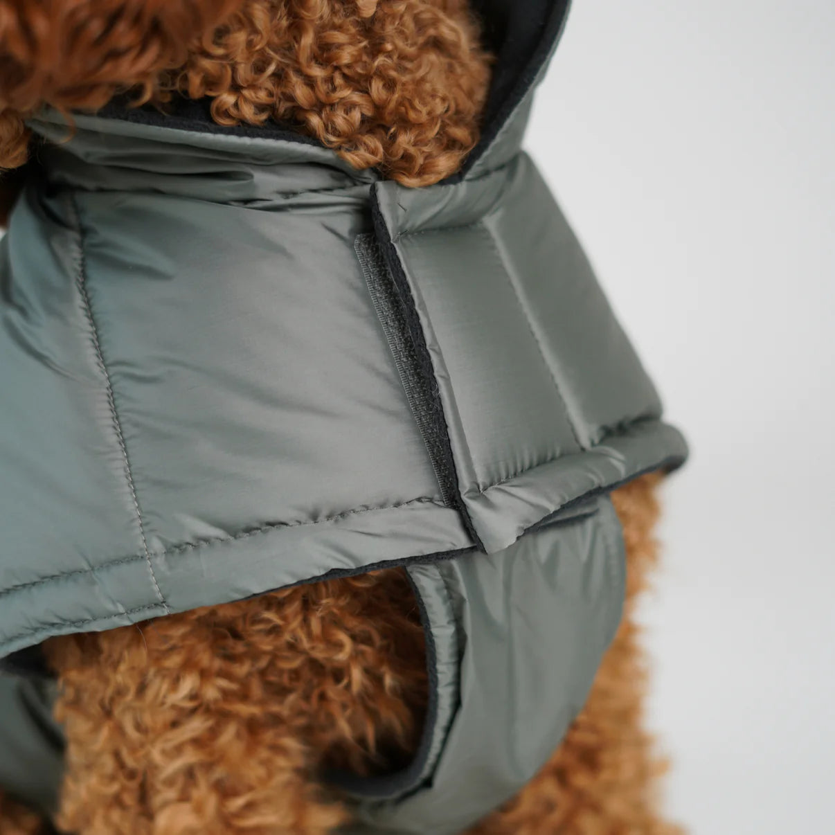 Nora Dog Coat | Moss Green
