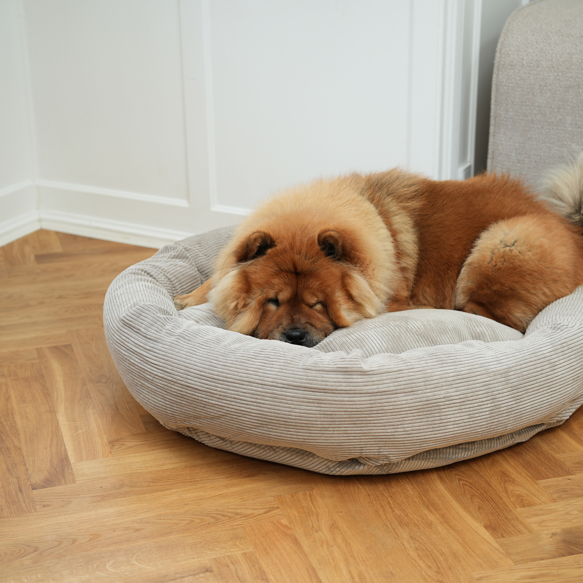 Luna Dog Bed 3.0 | Dune Corduroy
