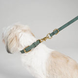 Leder Hundehalsband Grace | Moosgrün