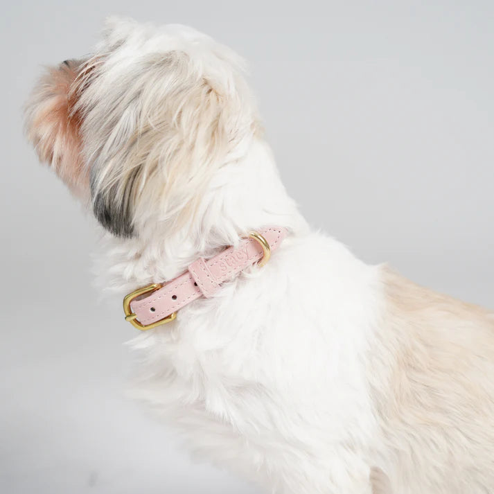 Leather Dog Collar Grace | Dusty Rose