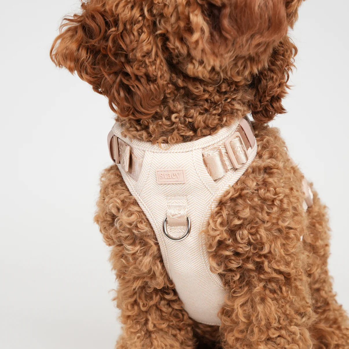 Elma Dog Harness | Light Rose