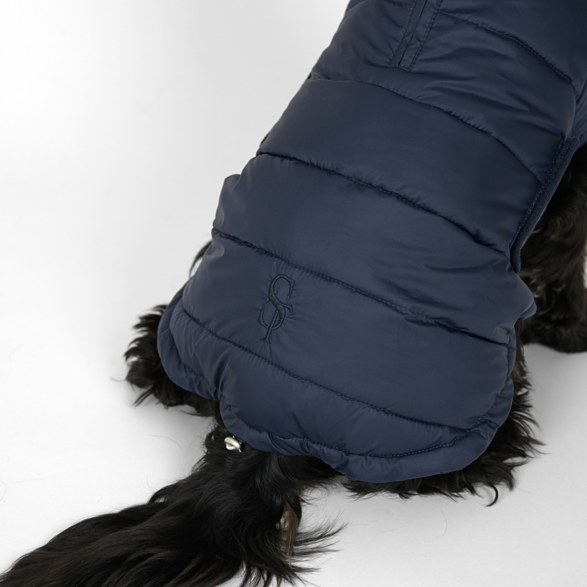 Nora Hundemantel | Midnight