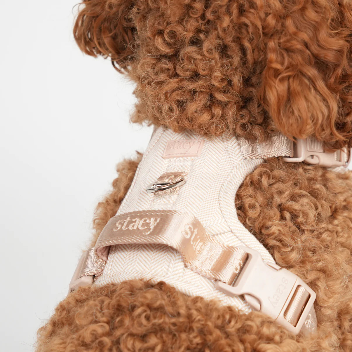 Dog Harness Elma | Light Rose