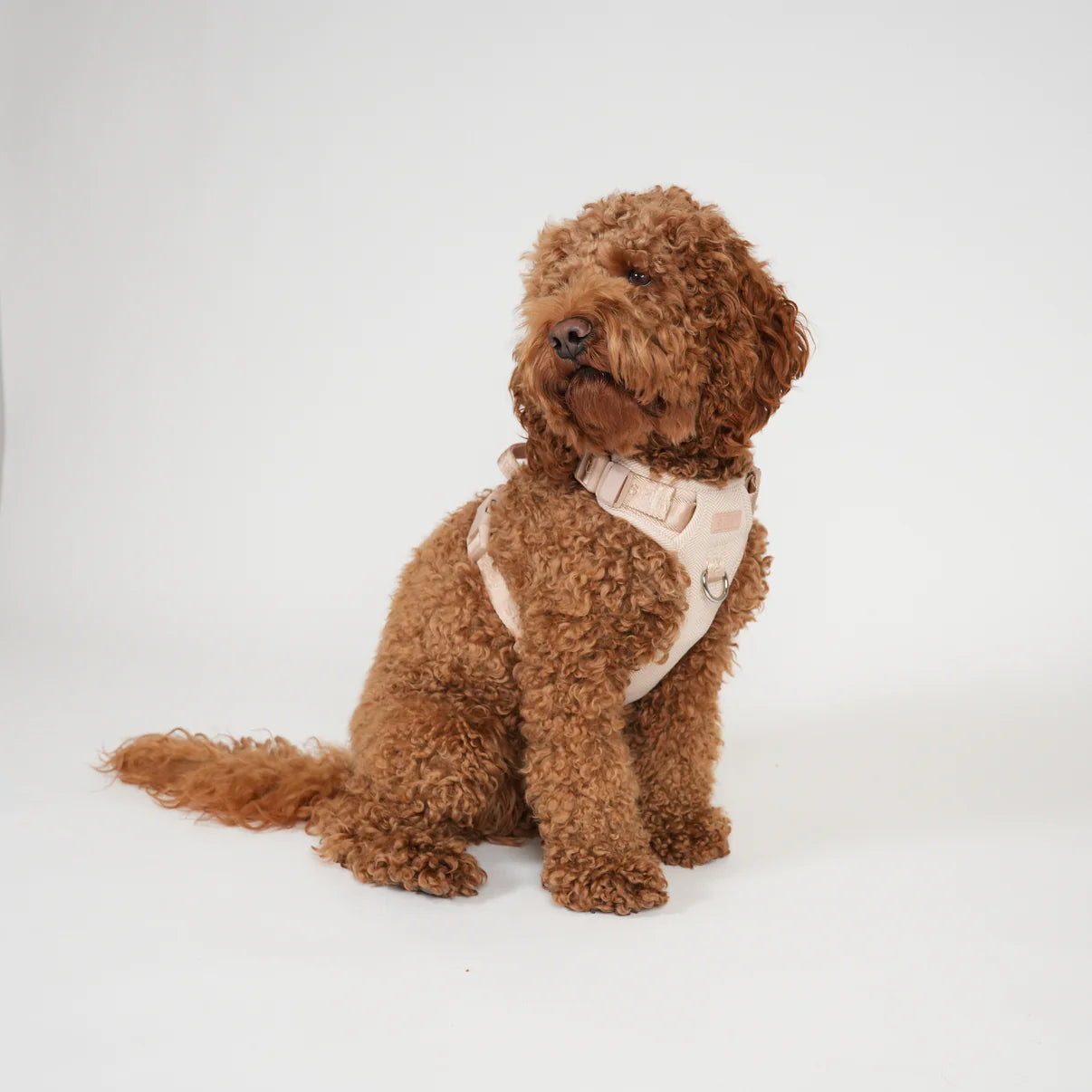 Dog Harness Elma | Light Rose