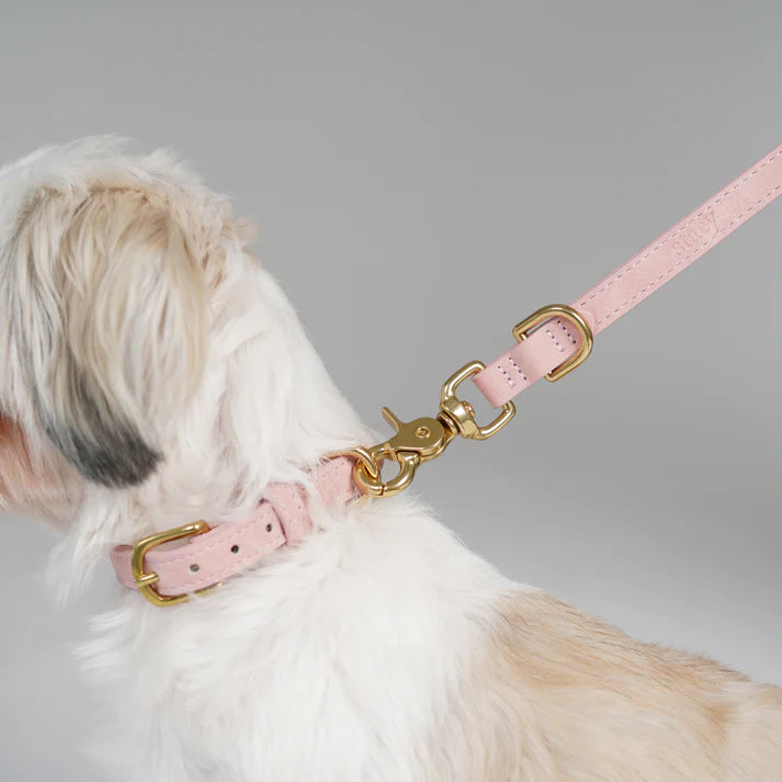 Leather Dog Leash Grace | Dusty Rose