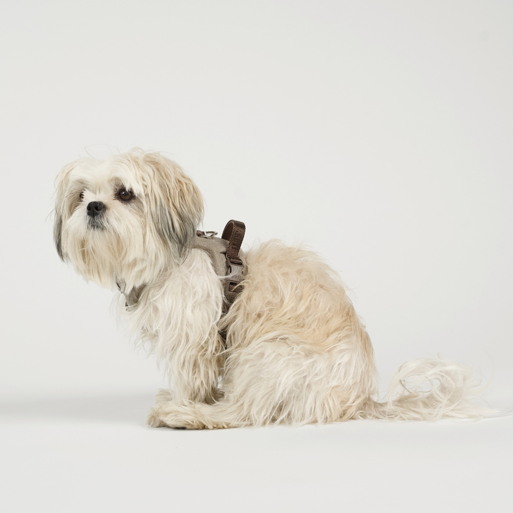 Elma Dog Harness | Sand