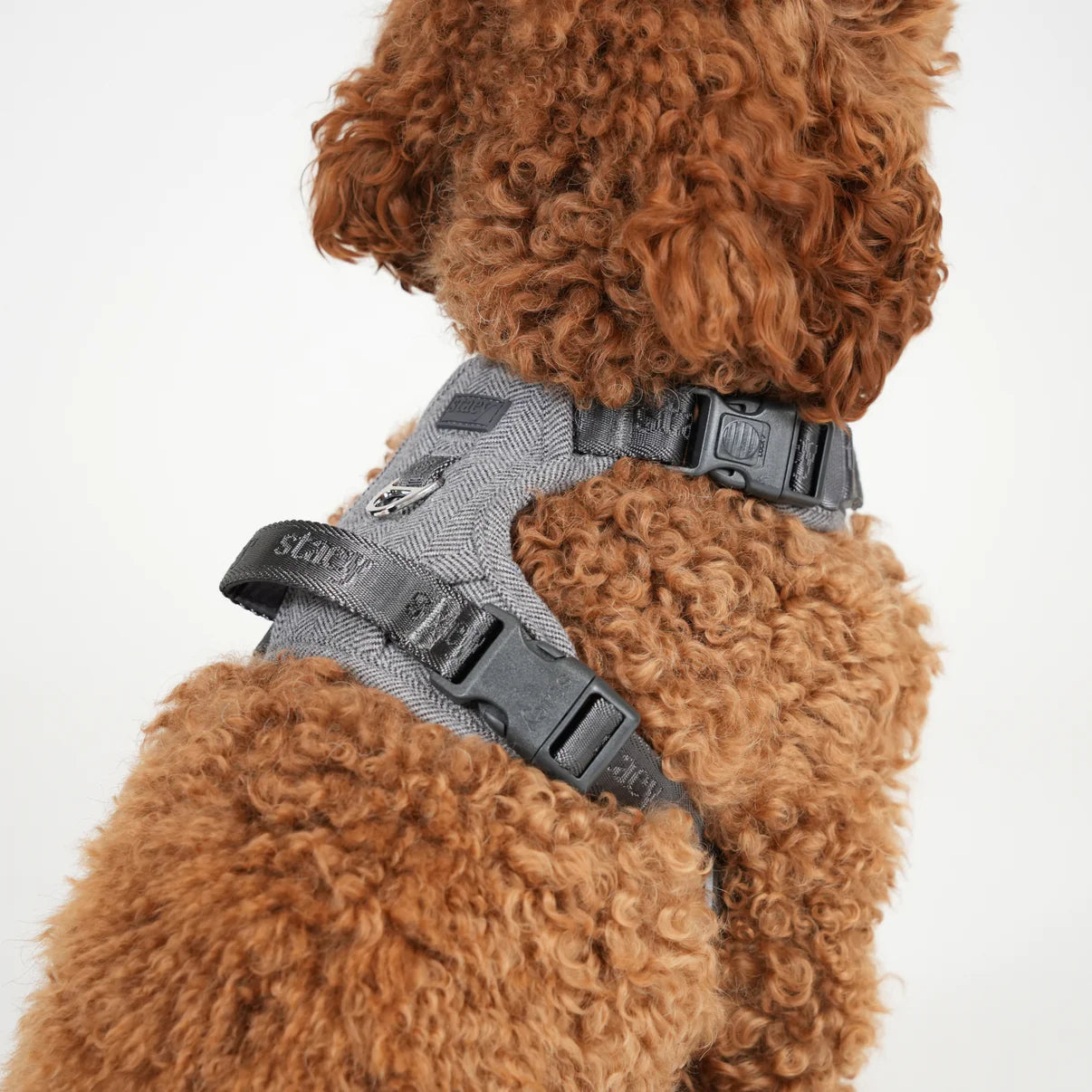 Dog Harness Elma | Dusty Blue