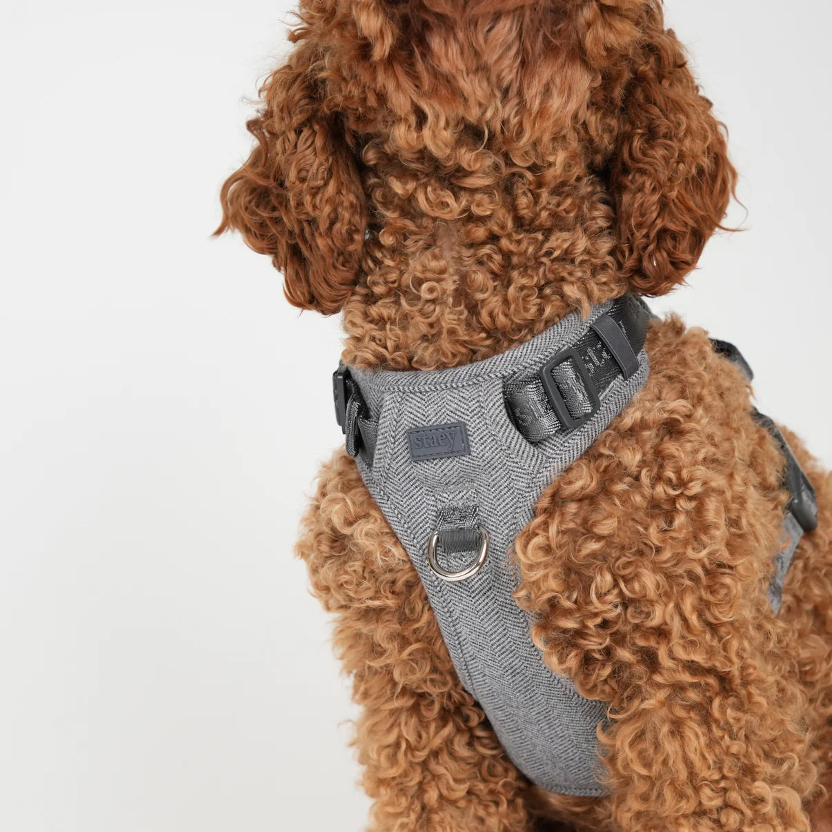 Dog Harness Elma | Dusty Blue