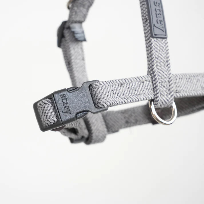 H-Strap Dog Harness Tara | Dusty Blue