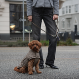 Nora Dog Coat | Taupe