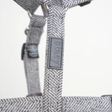 H-Strap Hundegeschirr Tara | Staubblau