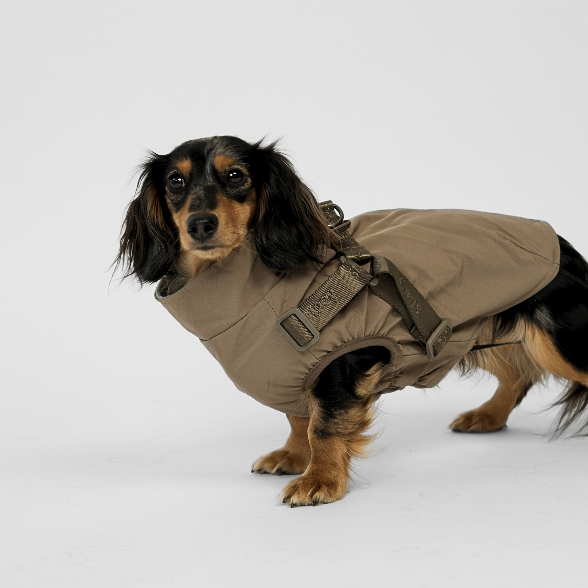 Norma Dog Rain Coat w. Harness | Taupe