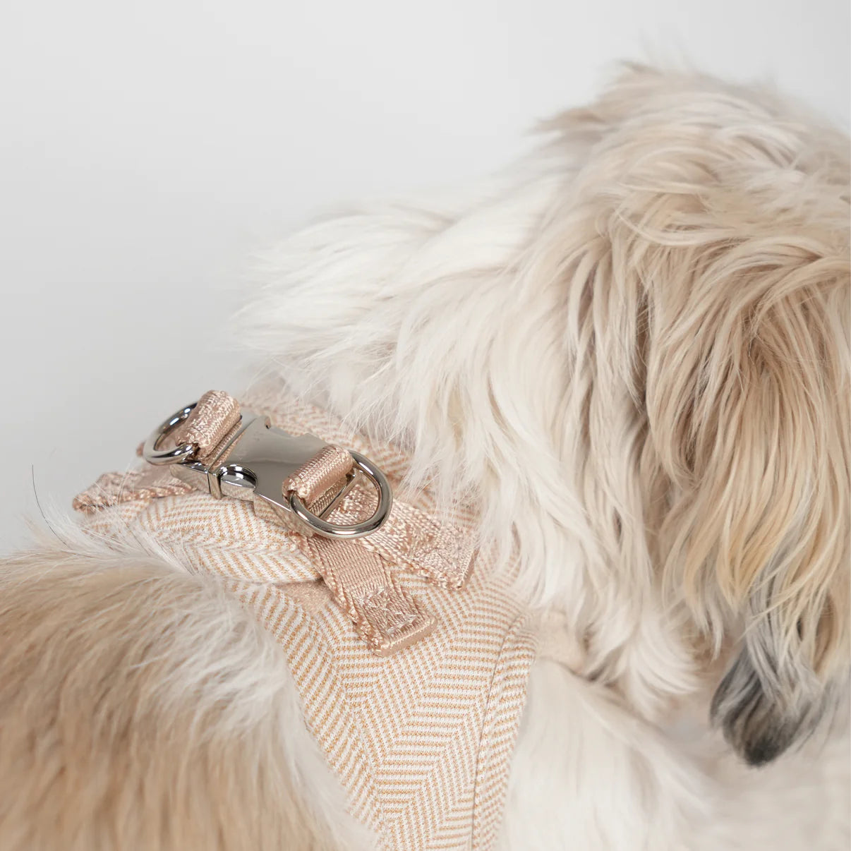 Step-In Dog Harness Saga | Light Rose