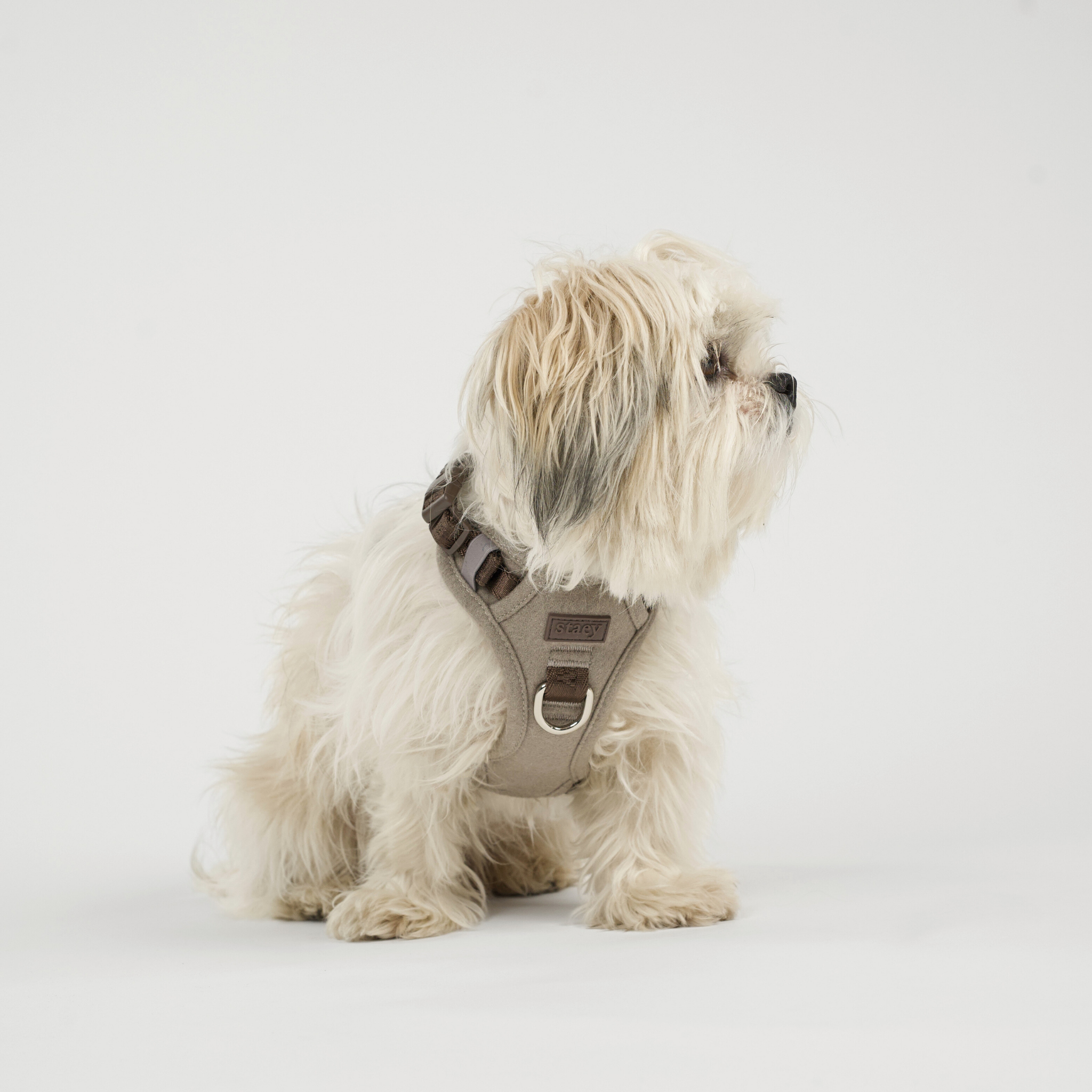 Elma Dog Harness | Sand