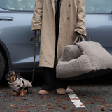 Lara Car Seat | Teddy 2.0