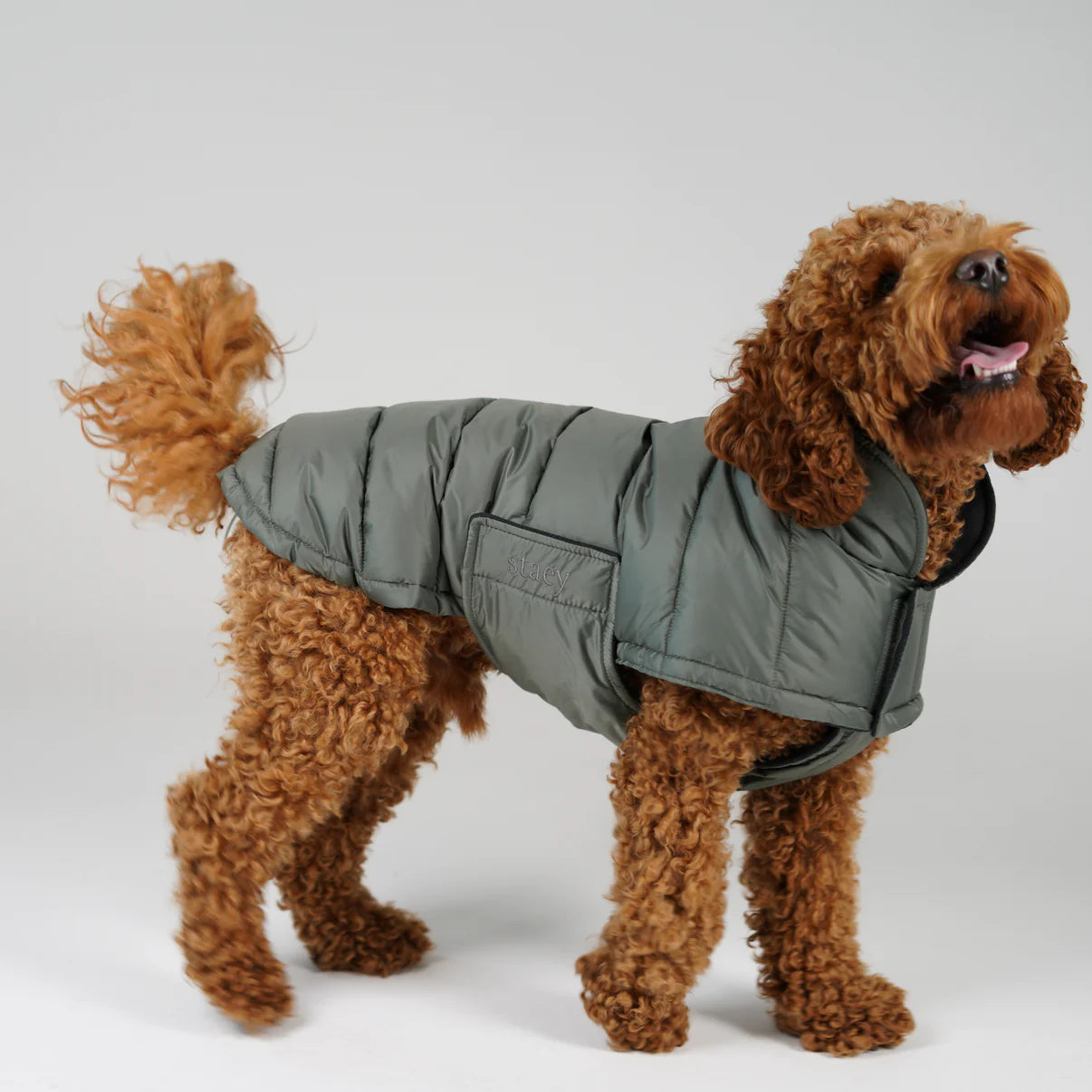 Dog Coat Nora | Moss Green