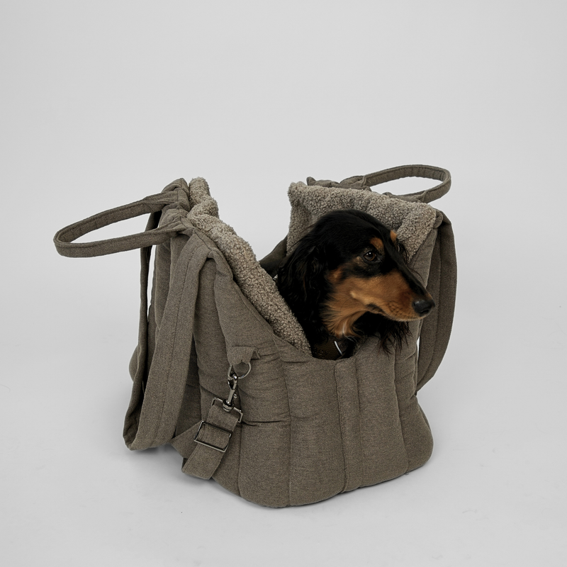 Long-haired dachshund lying in the olive teddy dog carrier bag