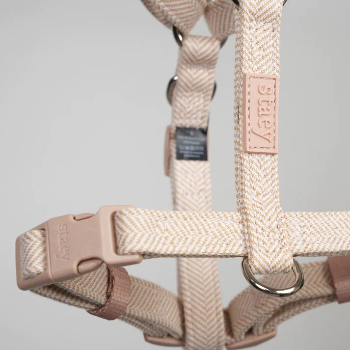 H-Strap Dog Harness Tara | Light Rose