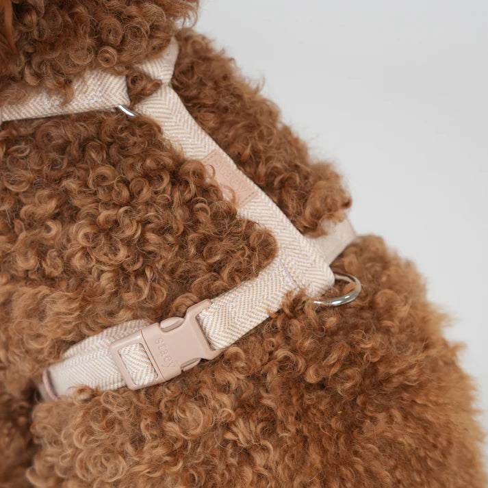 H-Strap Dog Harness Tara | Light Rose