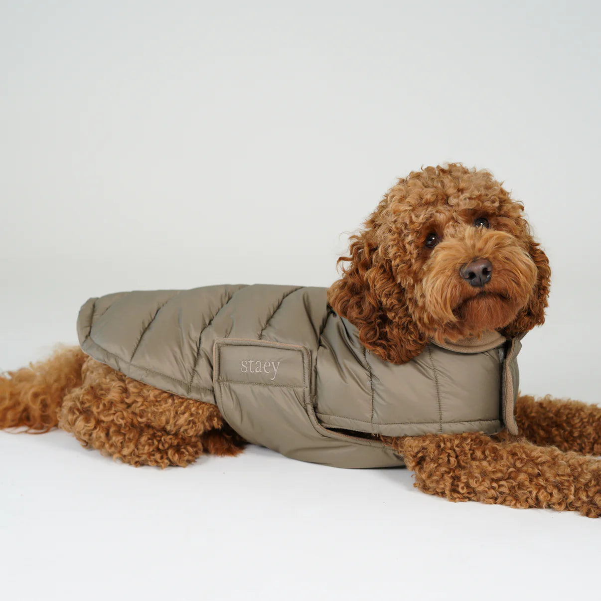 Dog Coat Nora | Taupe