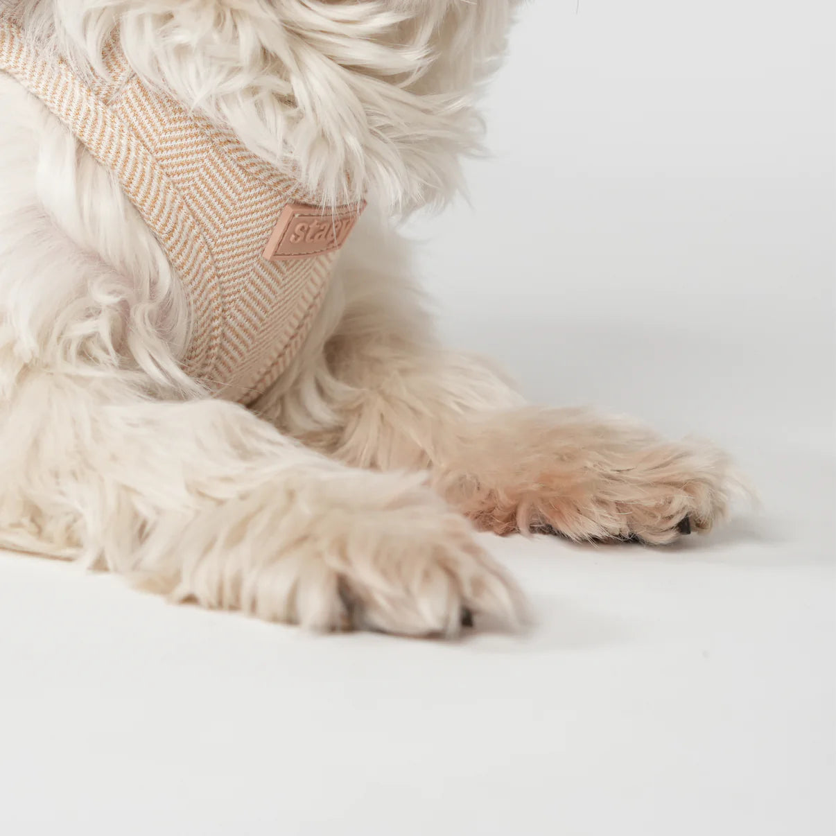 Step-In Dog Harness Saga | Light Rose