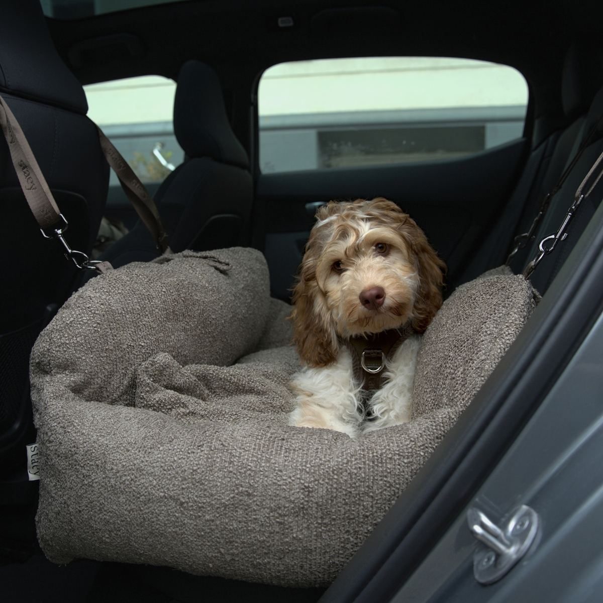 Tova 2-in-1 Hundeautositz XL | Chestnut Bouclé