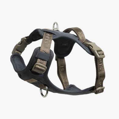 Elma Active dog harness in storm blue with padded chest panel