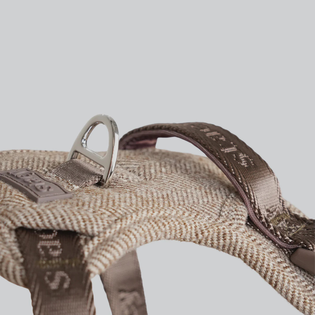 Close-up of the D-ring and Staey webbing on the mocca Saga harness