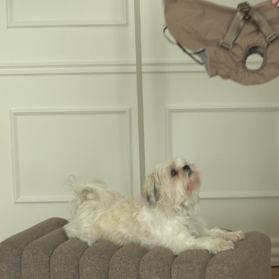 Video showing the Norma dog rain coat with harness in taupe