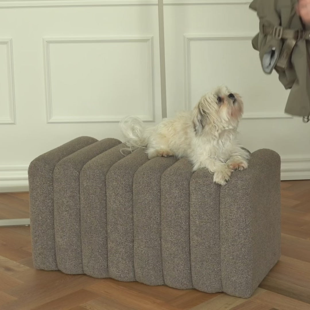 Video showing the Leva dog rain coat with harness in moss green