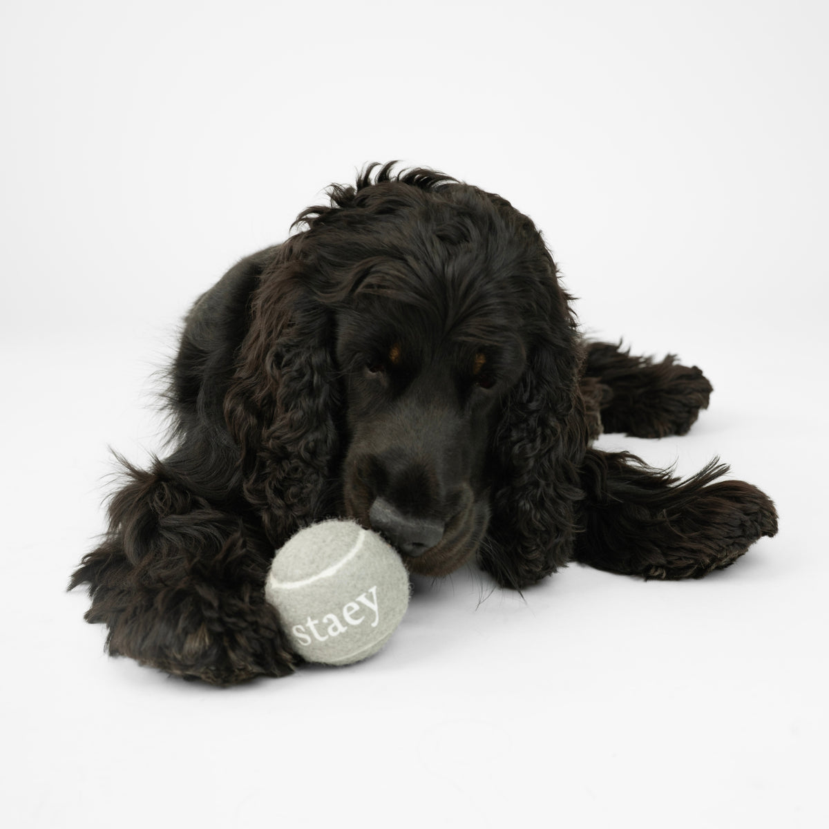 Quietscherball | 2er-Pack