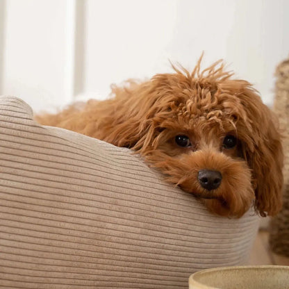 Dog bed Luna | Nature